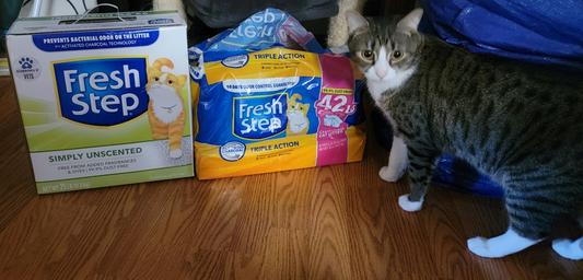 best litter for litter robot