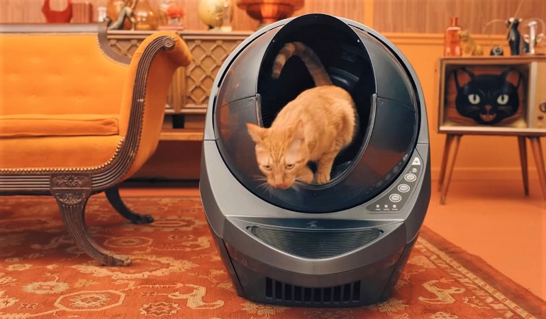 best litter to use with litter robot