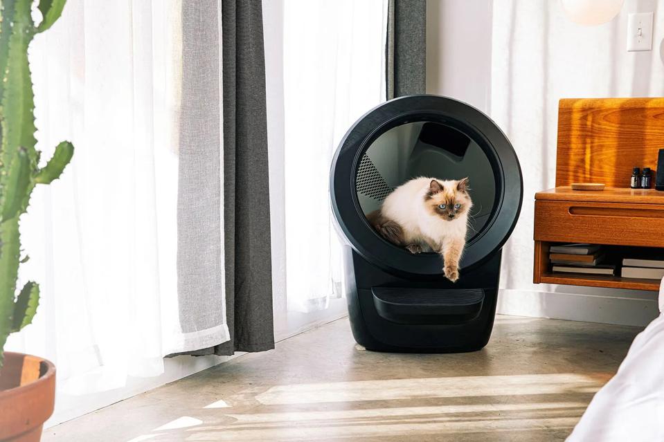 best automatic litter box
