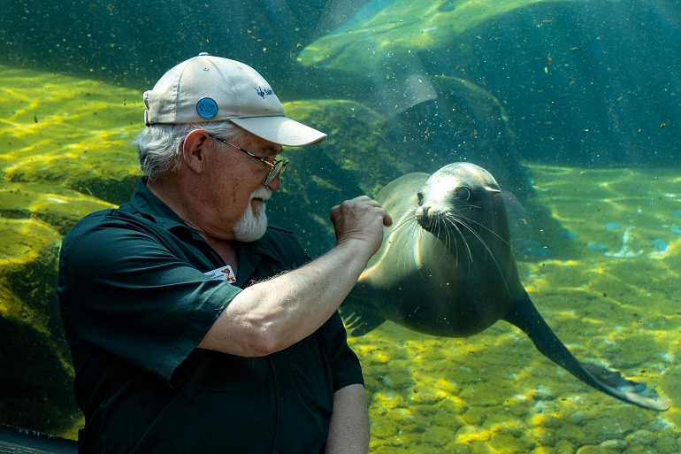 Human and Seal