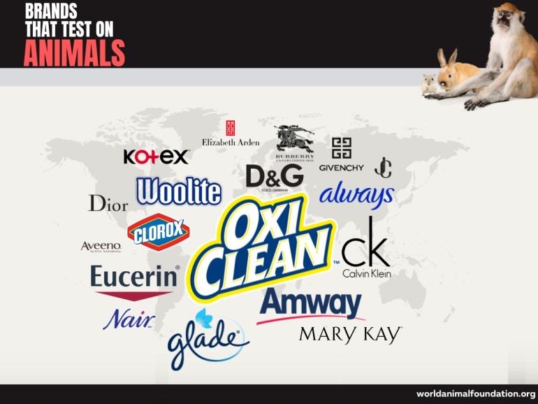 Brands That Test on Animals