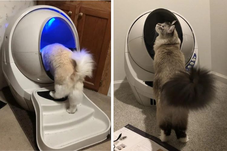 Litter-Robot is simple