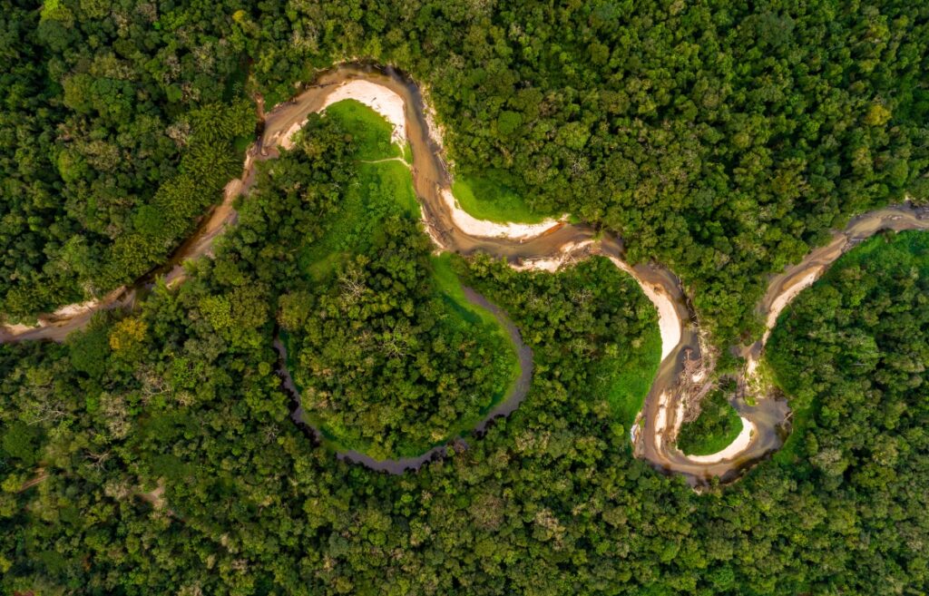 fun facts about the tropical rainforest