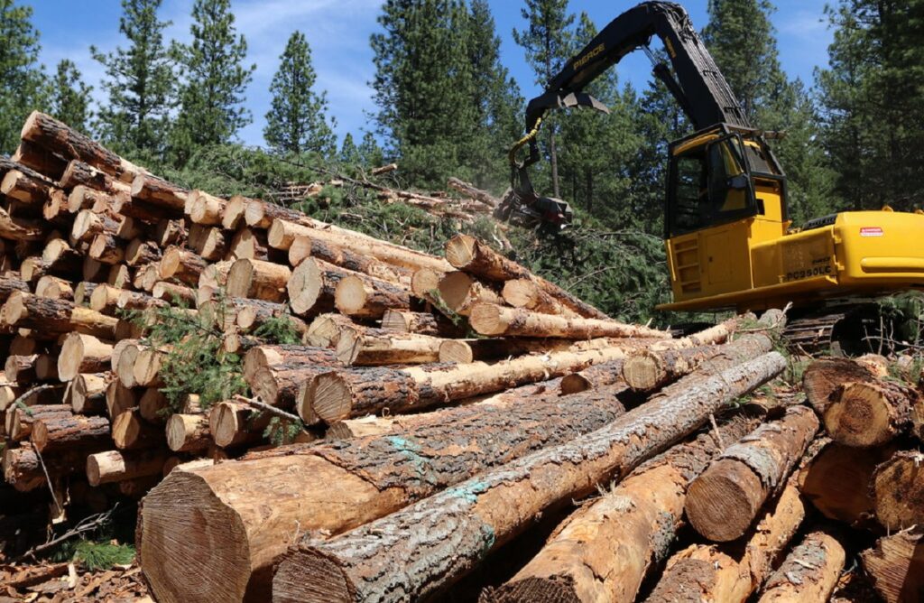 how does cutting down trees affect us and our environment