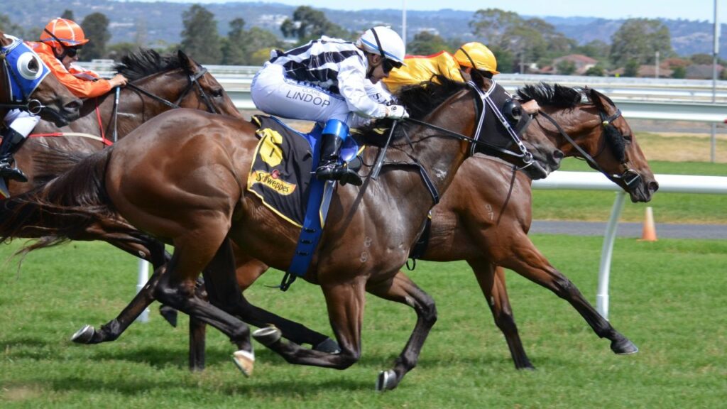 Racehorse Injuries