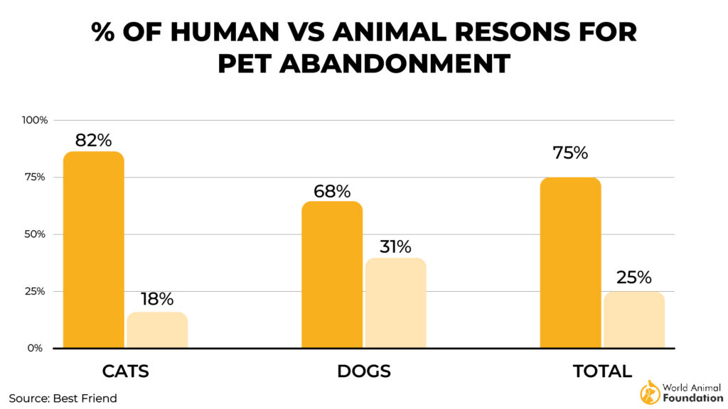 Primary Reason for Pet Abandonment